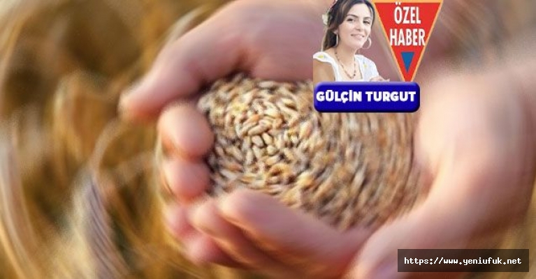 Arpa,  Üreticinin Elinde Kaldı