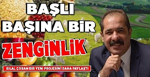 BAŞLI BAŞINA  BİR ZENGİNLİK