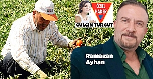 ÜRETİCİNİN UMUDU  'YENİ HAL YASASI'