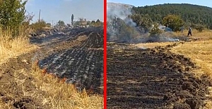 Tarla Yangını Ekinlere Zarar Verdi